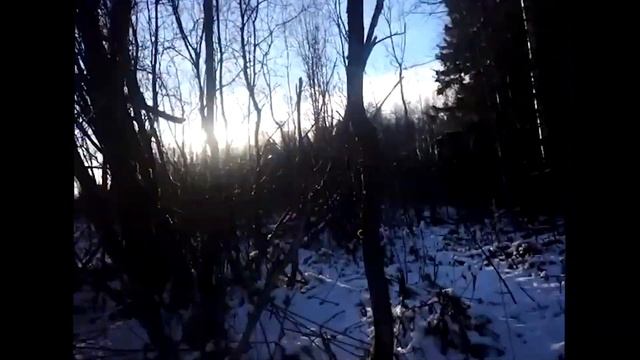 Hunting and fishing.Marten hunting with traps.Marten got caught in a trap. Охота и рыбалка. смотреть онлайн