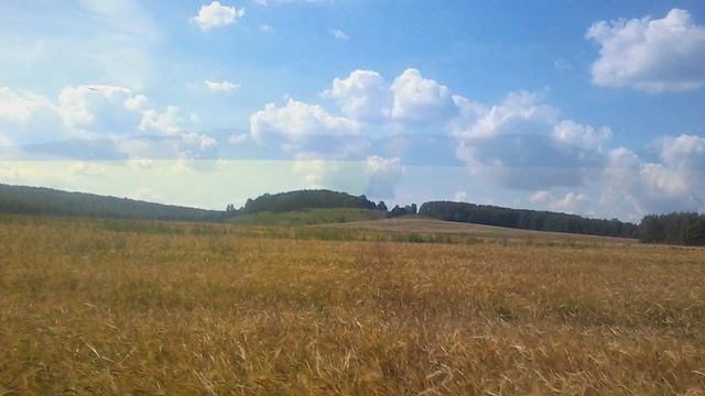 Башира Насырова | Бәширә Насыйрова ""Сагыну" смотреть онлайн