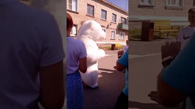 Поздравление от белого мишки. Белый мишка. Поздравление Новосибирск #деньрождения смотреть онлайн