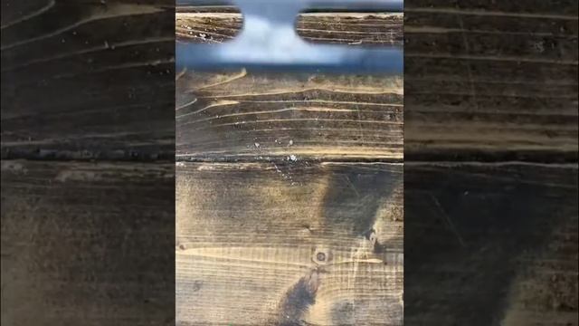 Short recipe - Christmas ham смотреть онлайн