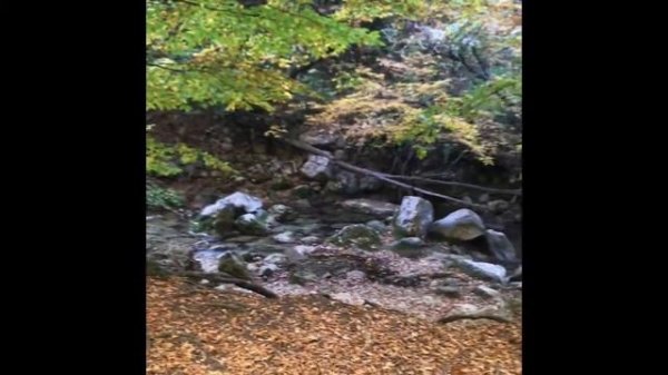 Соколиное Крым