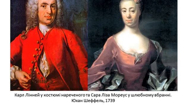 Карл Лінней смотреть онлайн