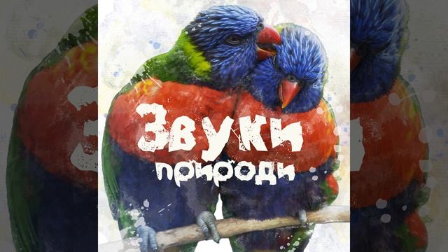 Отдохните смотреть онлайн