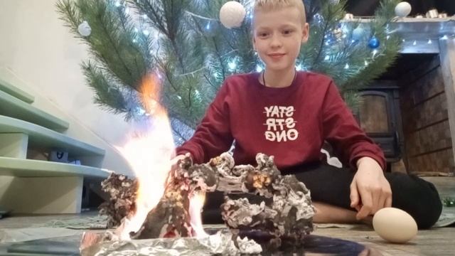 эксперимент пепельное дерево смотреть онлайн