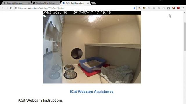 AVMI iCat16 WebCam Google Chrome 7 17 2017 5 18 13 PM смотреть онлайн