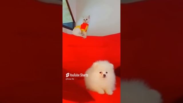 КОЛЬ-ОК (20) смотреть онлайн