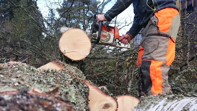 Stihl 026 bucking birch, 1997 modell. , Stihl RS 0.325, 1,5 mm 13 " смотреть онлайн