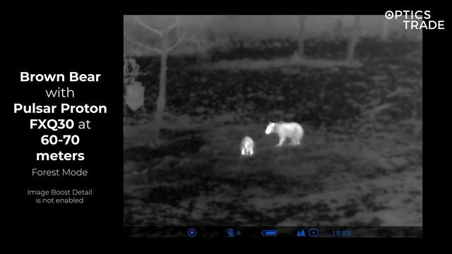 Brown Bear with Pulsar Proton FXQ30 Thermal Attachment NEW 2021 | Optics Trade See Through смотреть онлайн