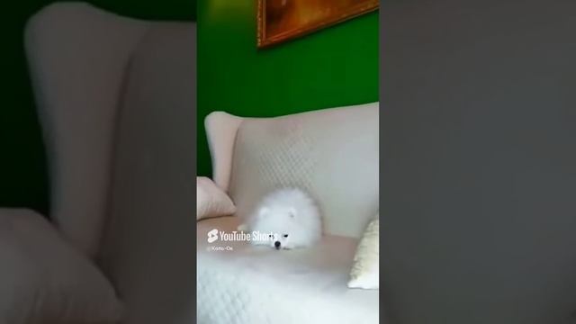 КОЛЬ-ОК (1) смотреть онлайн