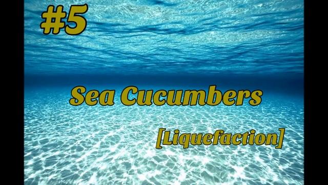 The 10 Amazing Animals With Real Life Superpowers