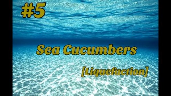 The 10 Amazing Animals With Real Life Superpowers