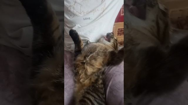 13 февраля 2023 г. смотреть онлайн