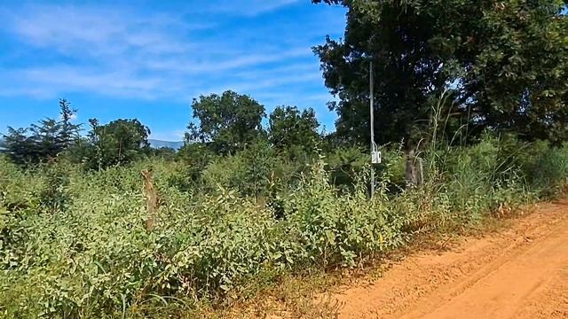 Chácara 10 hectares.Vila Boa-Go.Terra boa/plana.Pronta para construir, energia,água. ESCRITURADA. смотреть онлайн