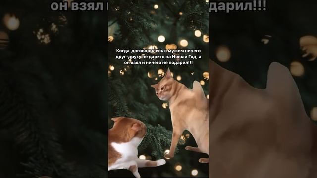 Когда сказала, что дарить ничего не нужно, а он взял и не подарил! смотреть онлайн
