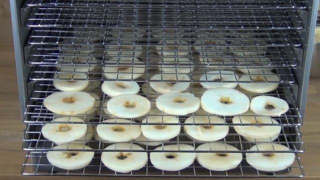 Weston 10 Tray Stainless Steel Dehydrator Overview & Demonstration drying Apples смотреть онлайн