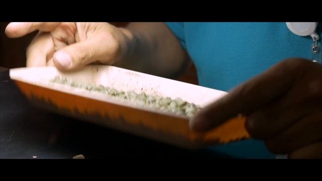 RGC Coffee Corporate Presentation смотреть онлайн