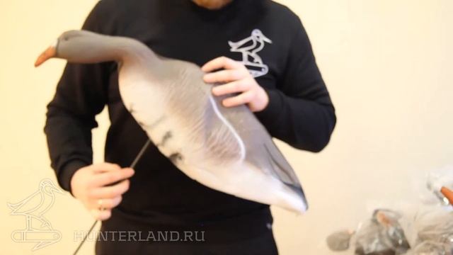 КОМПЛЕКТ ЧУЧЕЛ БЕЛОЛОБОГО ГУСЯ, 