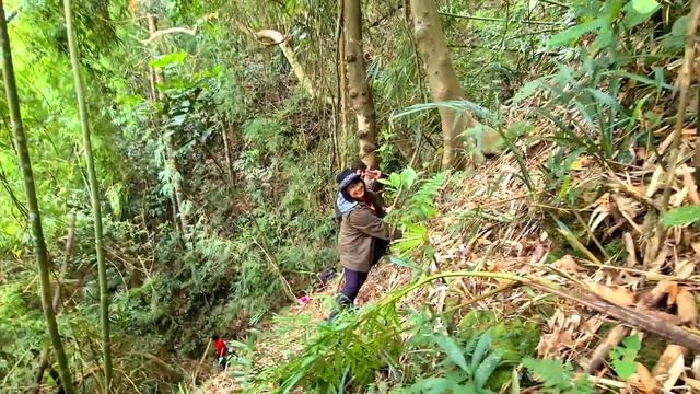 Rocamae Mountain Resort, Tanay | Travel Diary смотреть онлайн