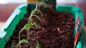 КУПИЛИ НОВУЮ МАШИНУ | ЕДЕМ К РОДИТЕЛЯМ ОБМЫВАТЬ ПОКУПКУ