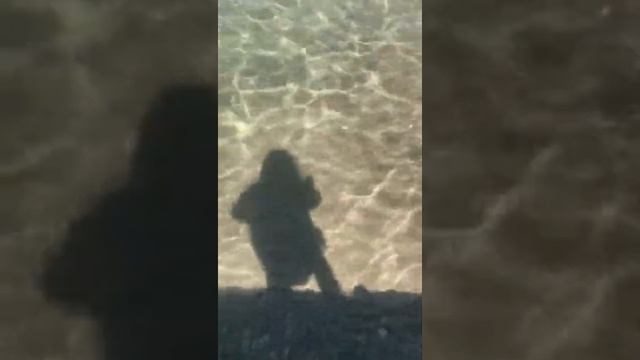 Чистейшая вода в море. Кабардинка 2021 смотреть онлайн