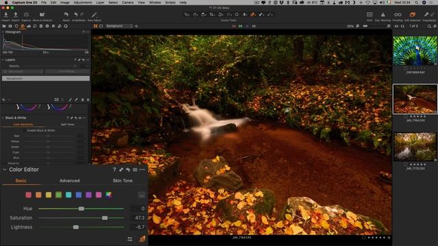 Capture One 20: New Features Review смотреть онлайн