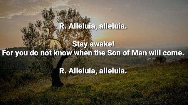 Daily Reading for October 23, Wednesday of the Twenty-ninth Week in Ordinary Time смотреть онлайн