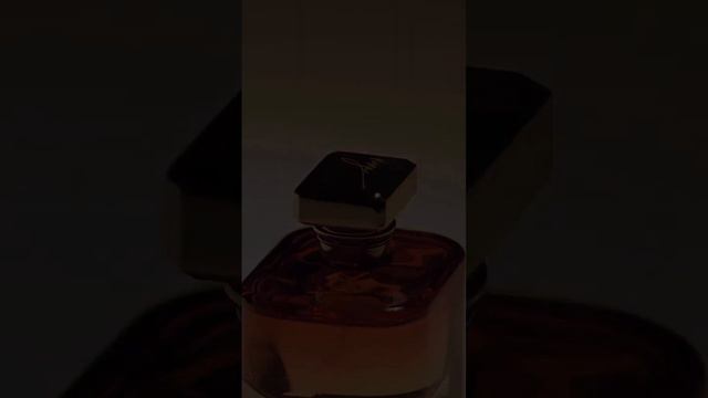 Saffron Dream, the cardamom and coriander scent is a favourite of many #houseofnoya #primacollezio смотреть онлайн