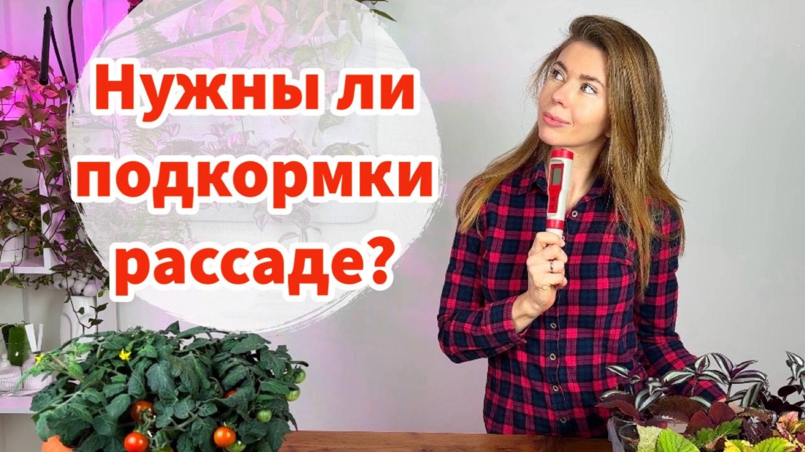Чем подкармливать рассаду безопасно?! Засоление грунта минеральными удобрениями смотреть онлайн
