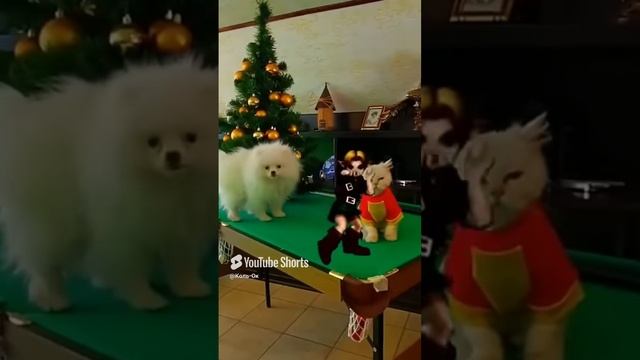 КОЛЬ-ОК (23) смотреть онлайн