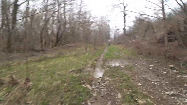 2023.03.17-19 Пекинский заяц по колено в сметане. смотреть онлайн