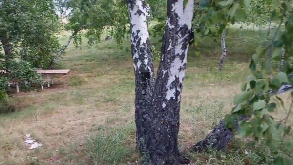 Медведицкая гряда 2024. Разведочная поездка.