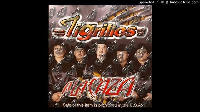 Tigrillos La Ética смотреть онлайн