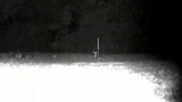 Pulsar Digex n 455 + наш Икфонарь 940й .Олени 350-400 м. смотреть онлайн