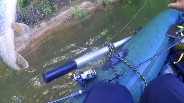 Сплавные щуки малой реки и немного ловли с берега