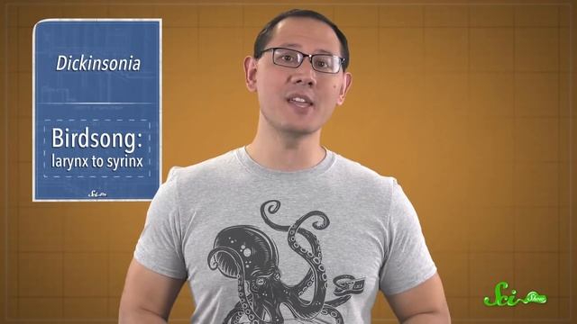 The Oldest Known Animal May Be a Weird, Fleshy Oval | SciShow News смотреть онлайн