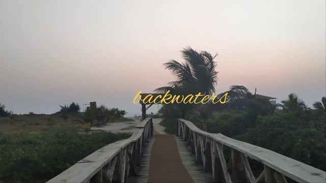 beach resort Goa || Riva beach resort || North Goa || Mandrem beach #goa #beachresort #goatourism смотреть онлайн
