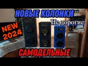 Новые бюджетные колонки 2024 самодельные