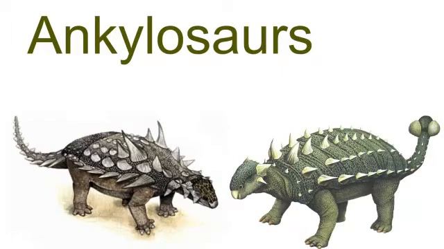 Dinosaur George explain what is and what is not a dinosaur смотреть онлайн