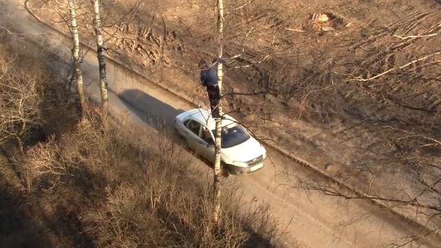 Кота снимали с дерева ) смотреть онлайн
