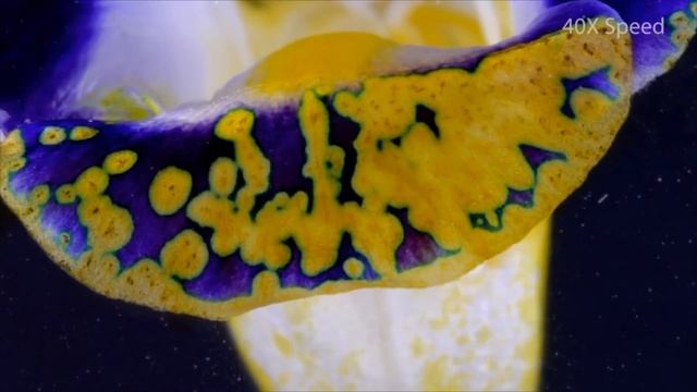 Beautiful Chemistry