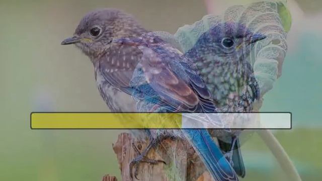 187 Бог мой храни меня смотреть онлайн