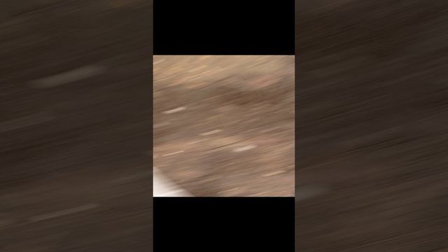 Шкода фабиа