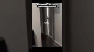 Скинволкеры? Пугающее поведение животных #мистика #history #интересное #факты