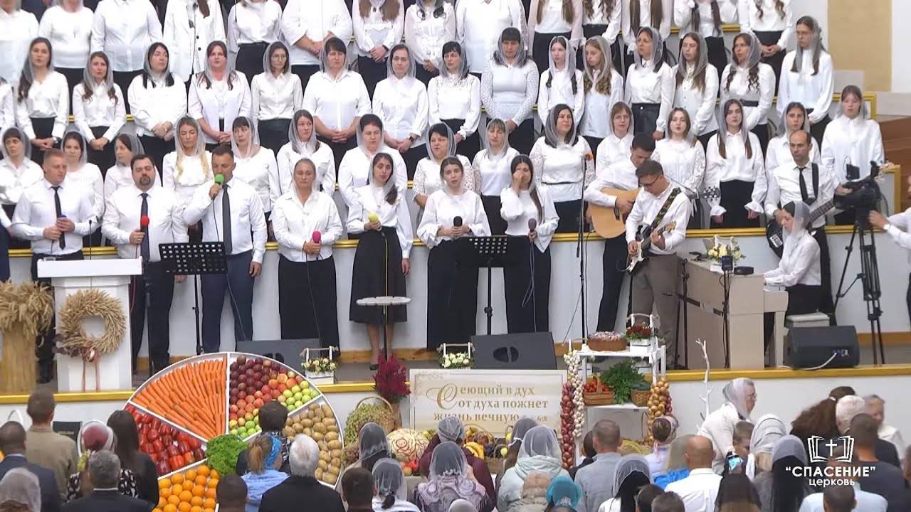 На Земле наша жизнь так временна смотреть онлайн