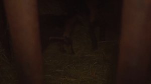 КУПИЛ 2 ДОМА В ДЕРЕВНЕ | ПРОИЗОШЛО НЕРЕАЛЬНОЕ | ЧТО ЕЩЁ ЖДАТЬ ОТ НИХ!?