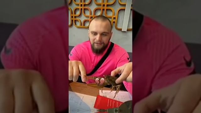 Данила Горилла кушает рака смотреть онлайн