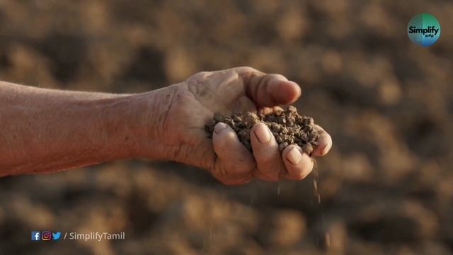 Dead Soil ⚠️ No Food For Next Generation - Soil Depletion | How to Preserve Soil Fertility смотреть онлайн
