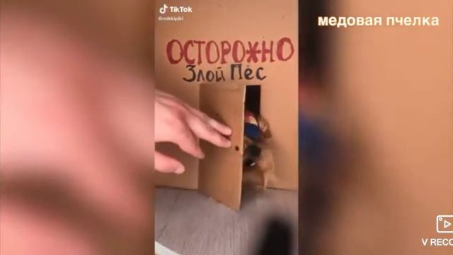 ОСТОРОЖНО! Злая Микки! 😰 смотреть онлайн