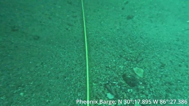 Lionfish Hunting in Destin Florida: ULTIMATE guide to spearing & handling these venomous invaders! смотреть онлайн