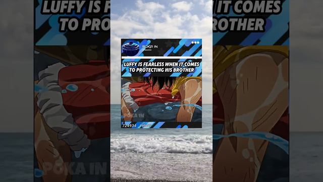 #onepiece #luffy #admirals смотреть онлайн